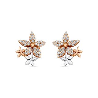 APPLE SEED TARA GOLD DIAMOND EARRINGS
