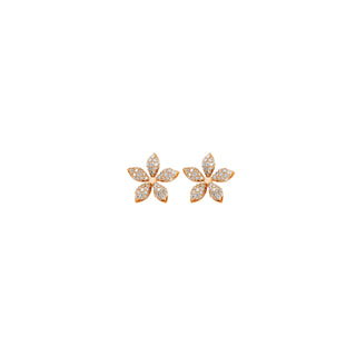 APPLE SEED TARA GOLD DIAMOND EARRINGS