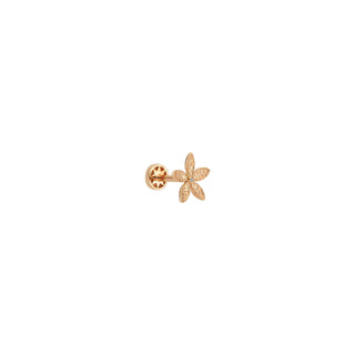 APPLE SEED TARA GOLD DIAMOND PIERCING