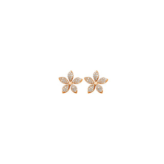 APPLE SEED GOLD DIAMOND EARRING