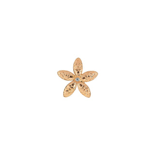 APPLE SEED GOLD DIAMOND PIERCING